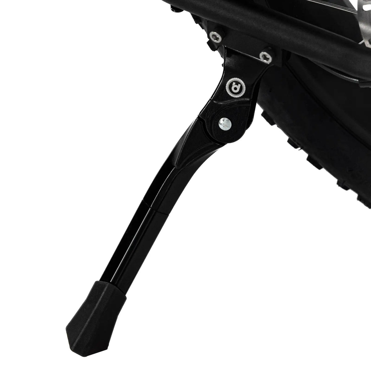 UD kickstand